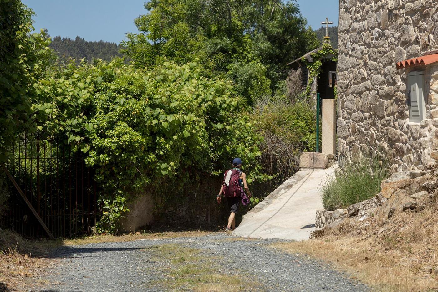 Landras De Compostela Pensionat Santiago de Compostela Eksteriør billede
